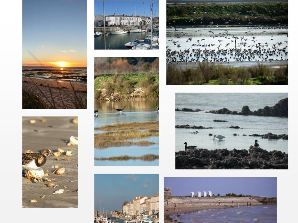 Ile De Re, La Danae, Velos, Wifi, Possibilite Cuisine, Linge, Parking Gratuit Saint-Martin-de-Ré Dış mekan fotoğraf
